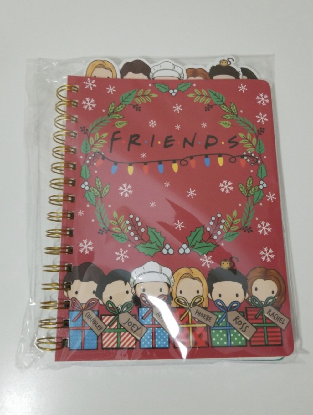 FRIENDS Series Christmas Journal
